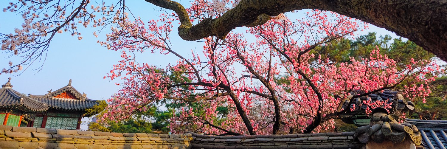 사몽정😘😊🥰😍🤩😚😝👻❤️🧡💛💚💙💜 banner