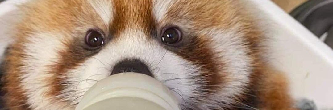 EEEightt's profile banner image