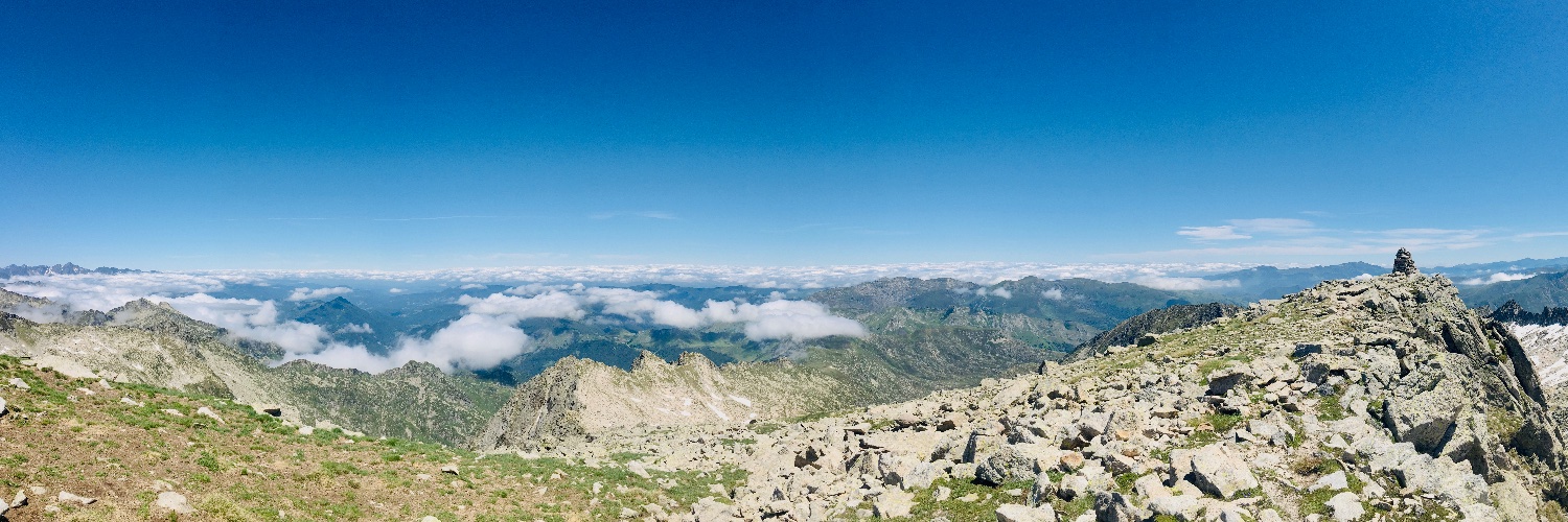 Staffan Jacob banner