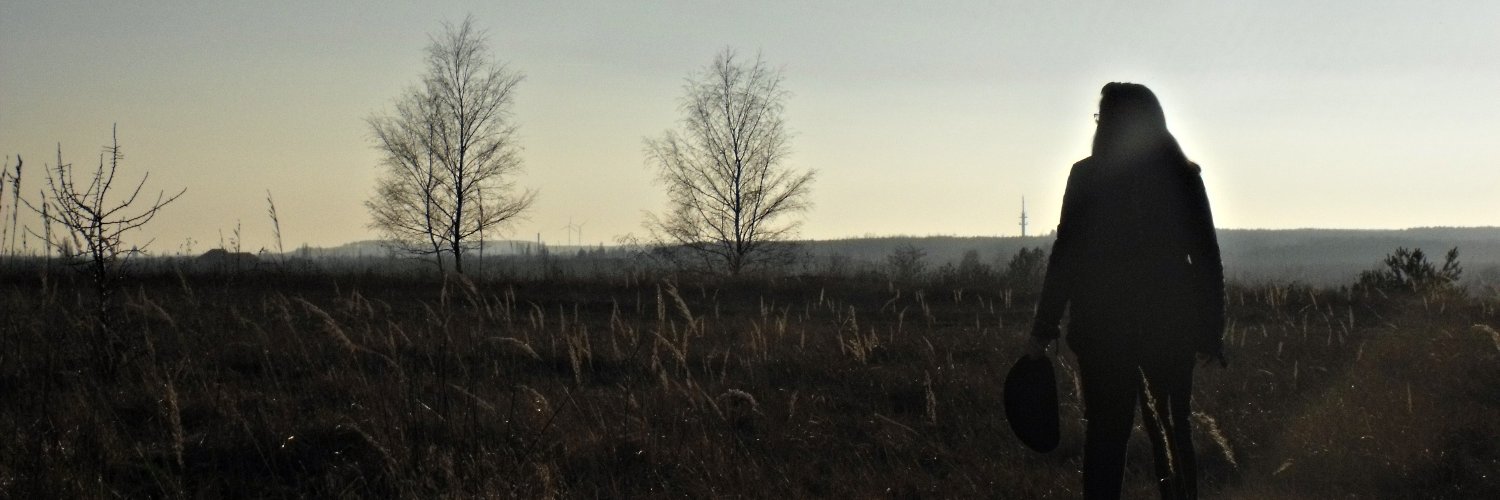 FrauBirne's profile banner image