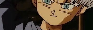 Cleara Wolter banner