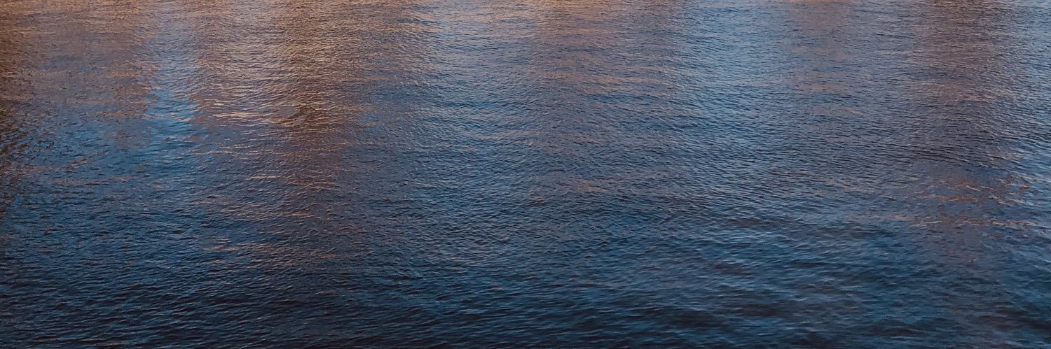 кто такой Бурцев? banner