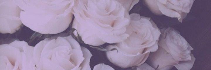 jbrit23's profile banner image