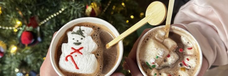 (̨̡ ̮̈ )̧̢pppooooook banner