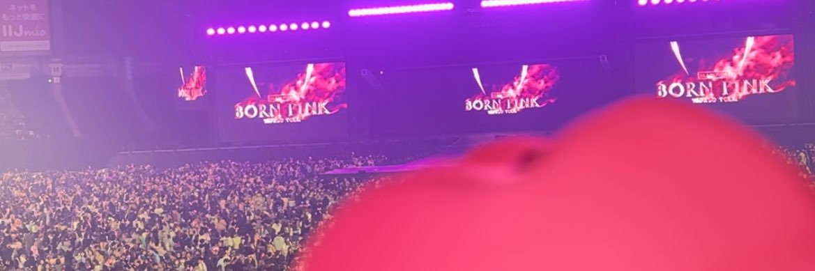 ryz banner