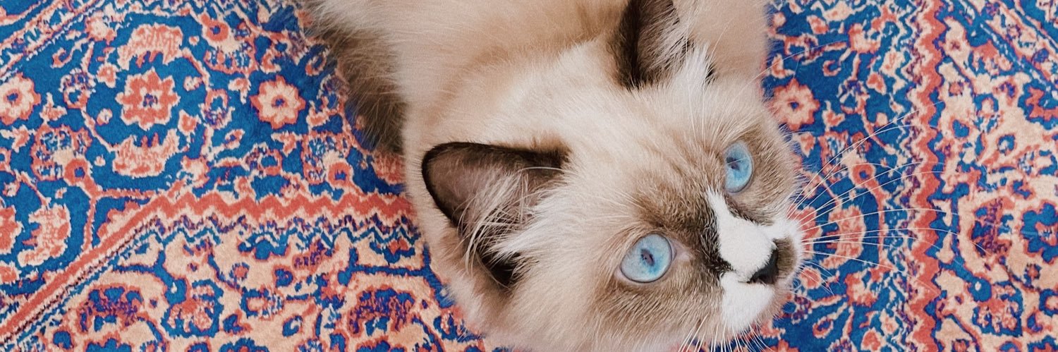 𝙚𝙡𝙞𝙤 banner