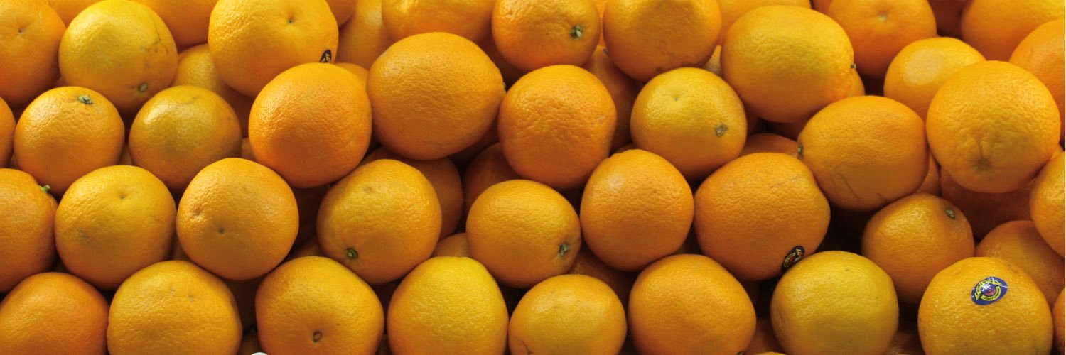 OSUOrangeTech's profile banner image