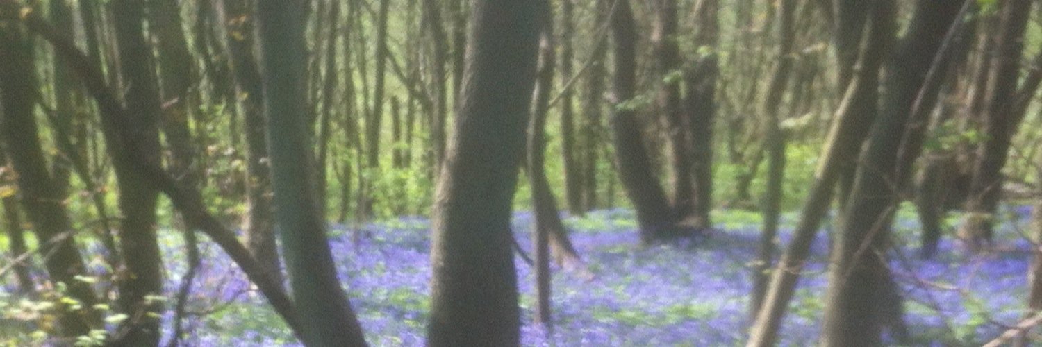 EricDelve's profile banner image