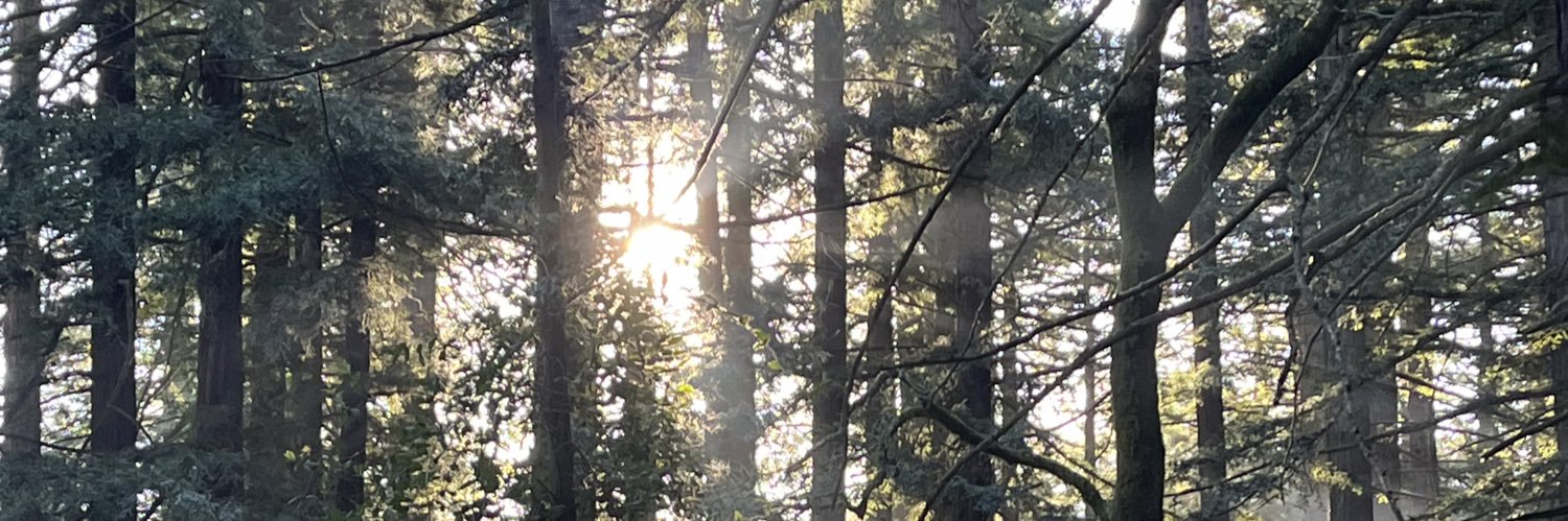 jonathandafu's profile banner image