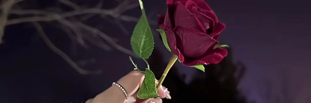 ☘🌱Sakura☘🌱 banner