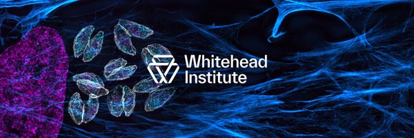 Whitehead Institute Profile Banner