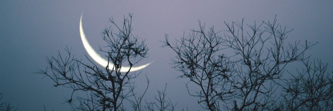 AynaCT's profile banner image
