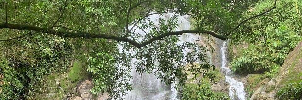 GuzmanDaviid's profile banner image