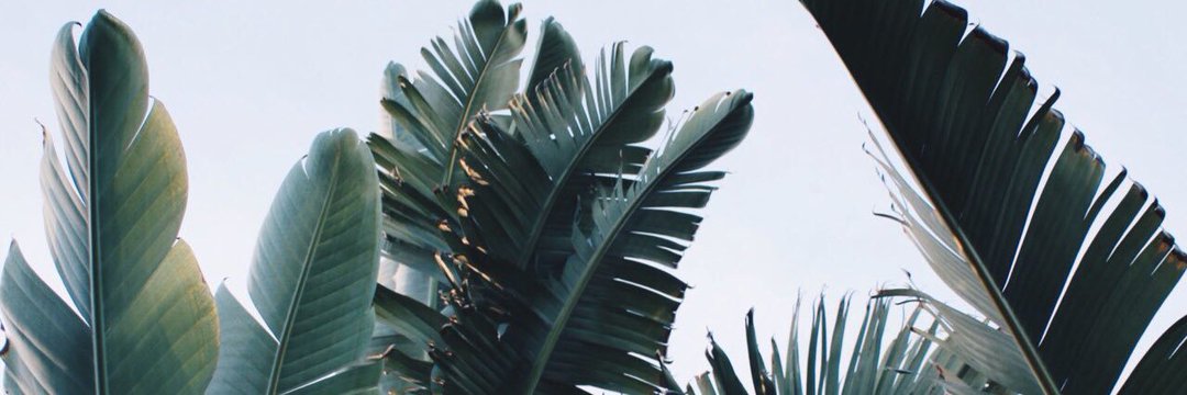 versacesbeau's profile banner image