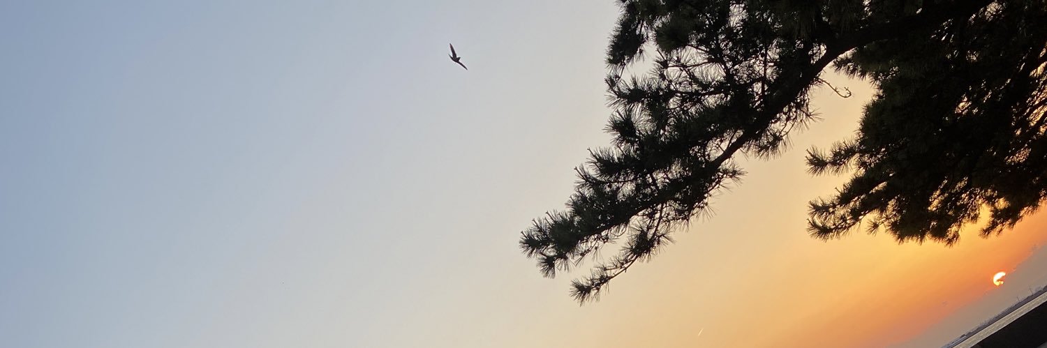 arin___T's profile banner image