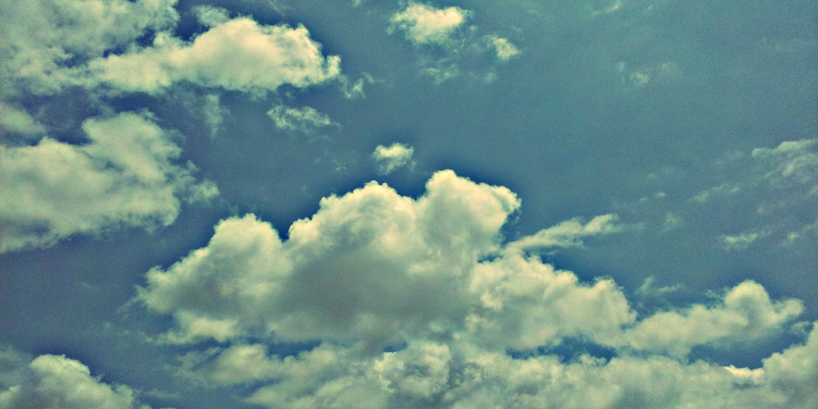 Samvit Purohit banner