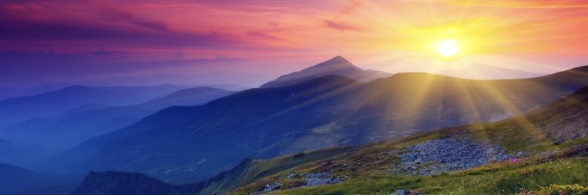 BlueberryGrove banner