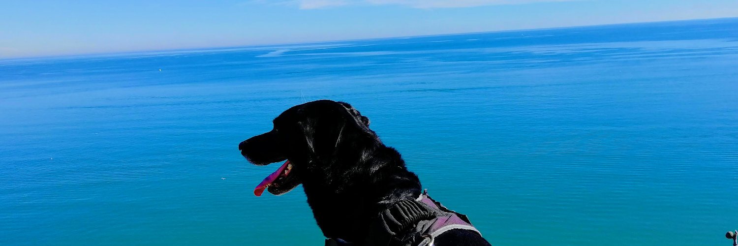 OmegaBowser's profile banner image