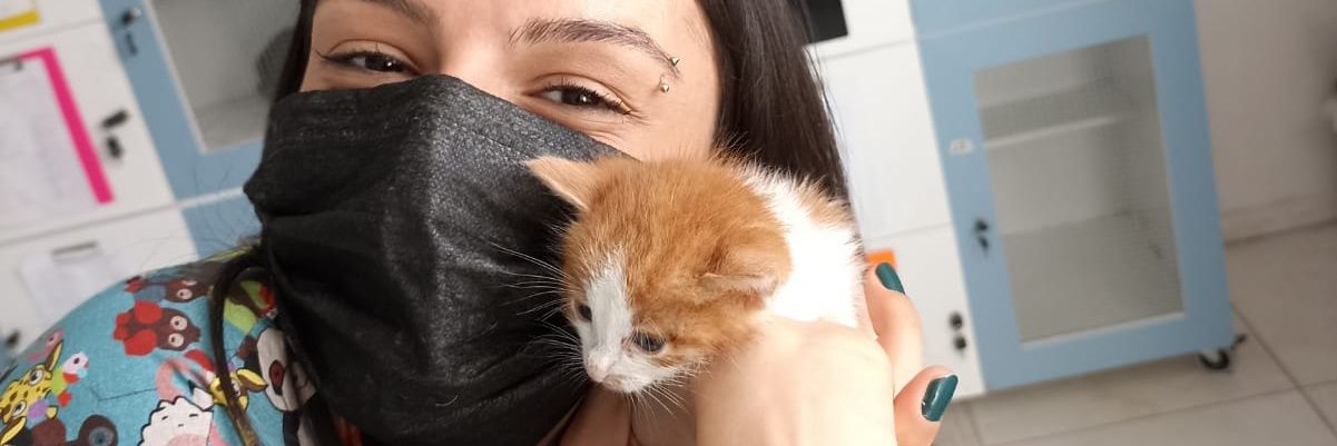 acarsila_'s profile banner image