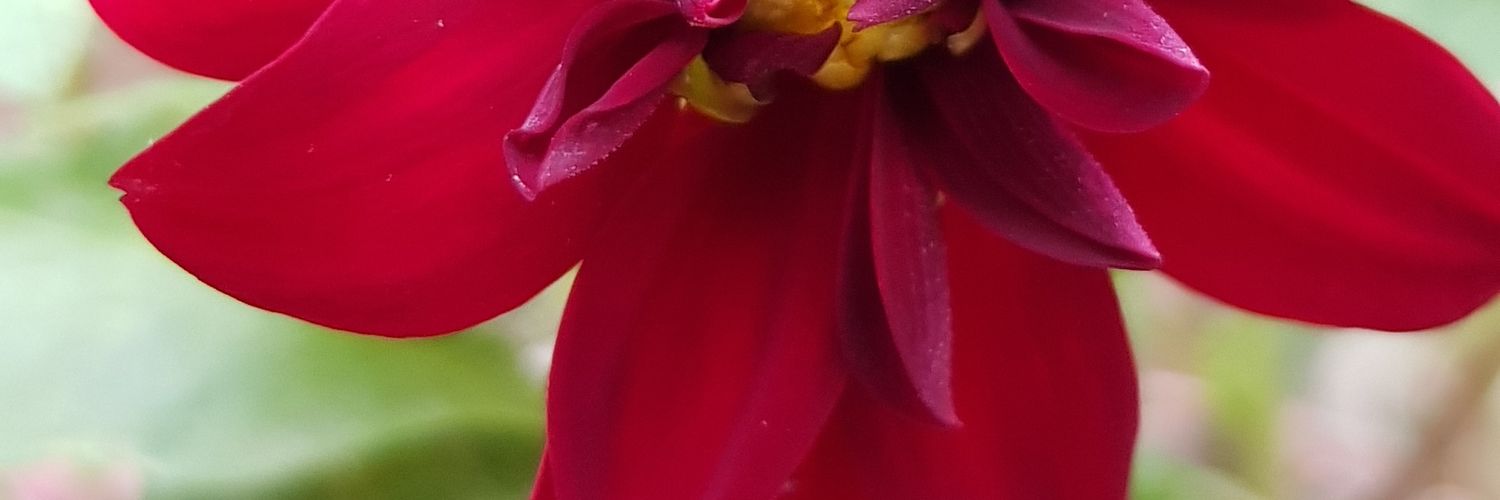 TweetARp's profile banner image