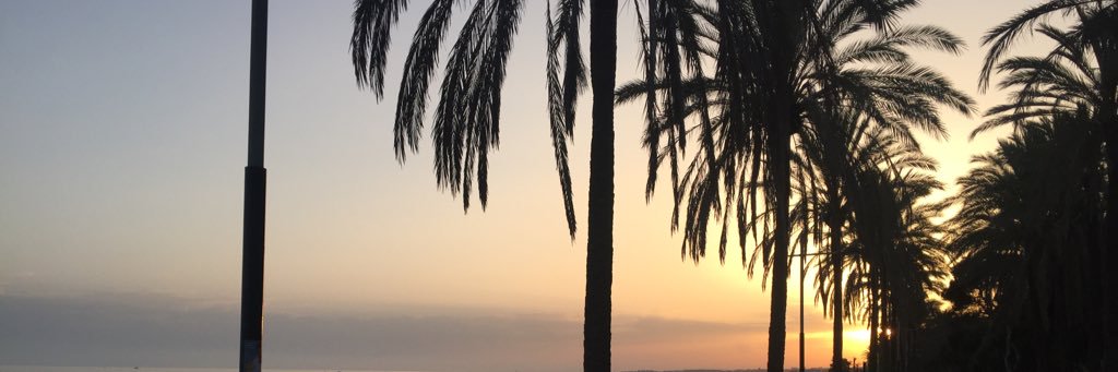lisarndrs's profile banner image