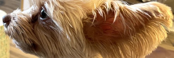dott_freeman Profile Banner