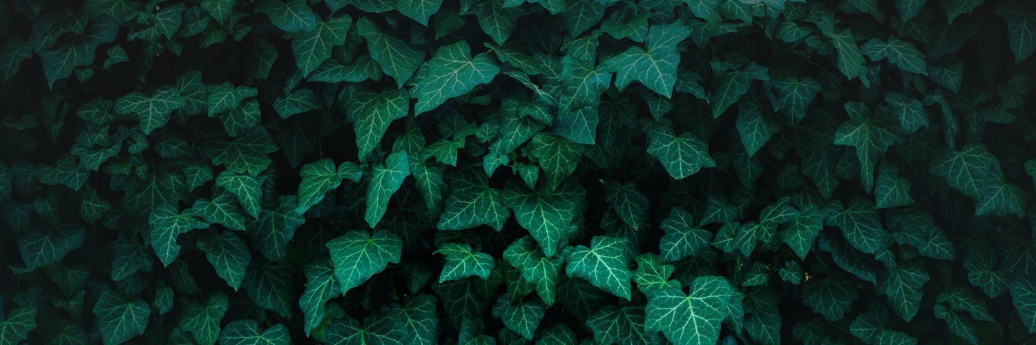CPMDigitalMedia's profile banner image