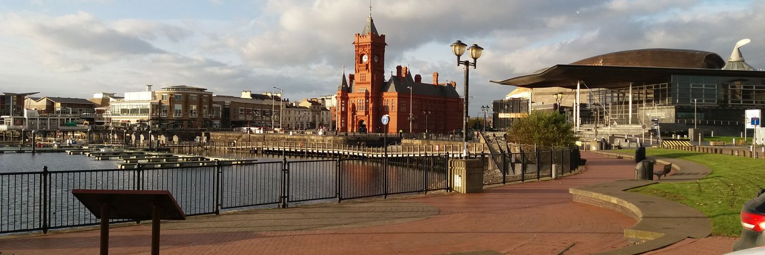 Susan Elsmore banner