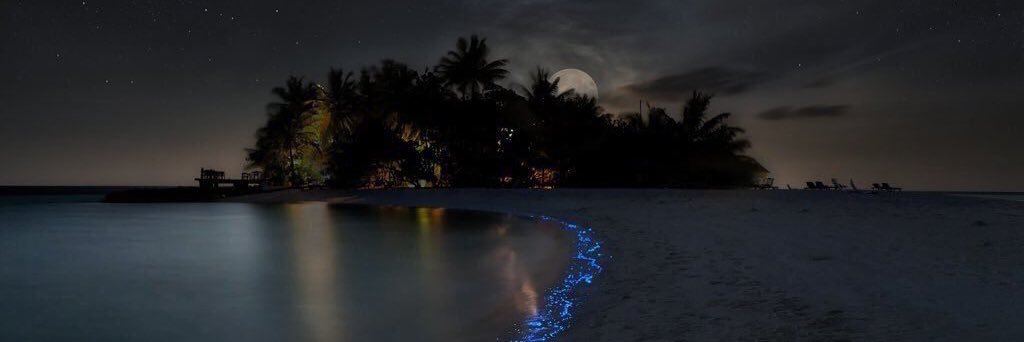 procter_j's profile banner image