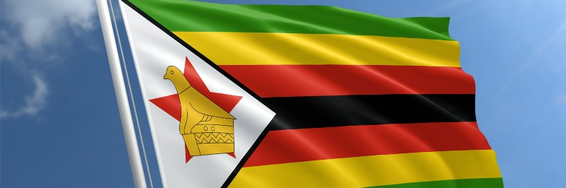 UJZimSoc's profile banner image