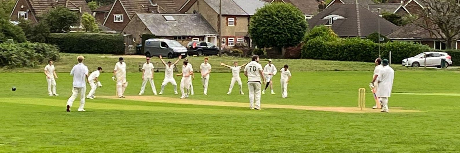 Limpsfield Chart Cricket Club banner