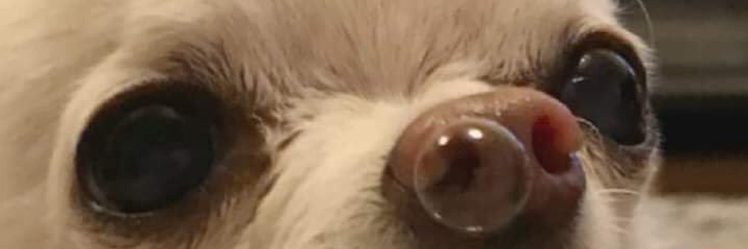 vicfrancee's profile banner image