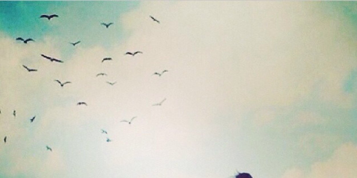 55_fefe's profile banner image