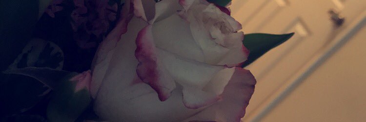 real_andromeda's profile banner image