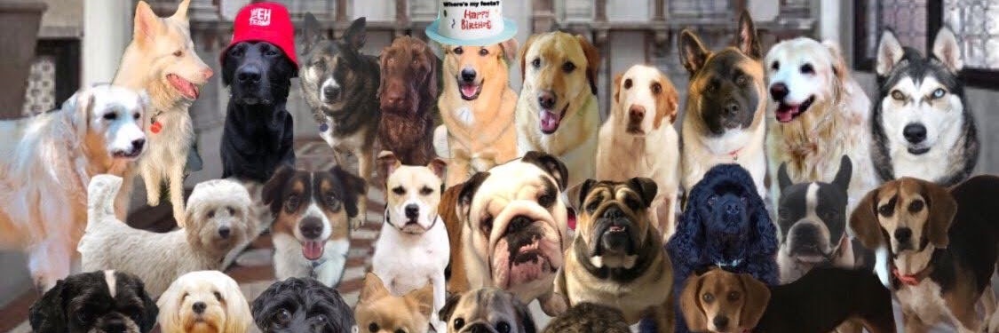 Aurora & mum 🌺 RIP Marta 💔 banner