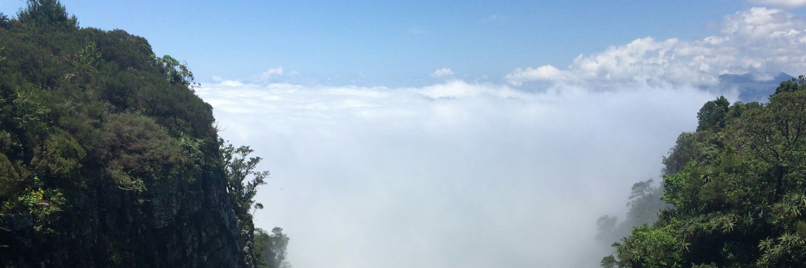 theycallmeTee's profile banner image