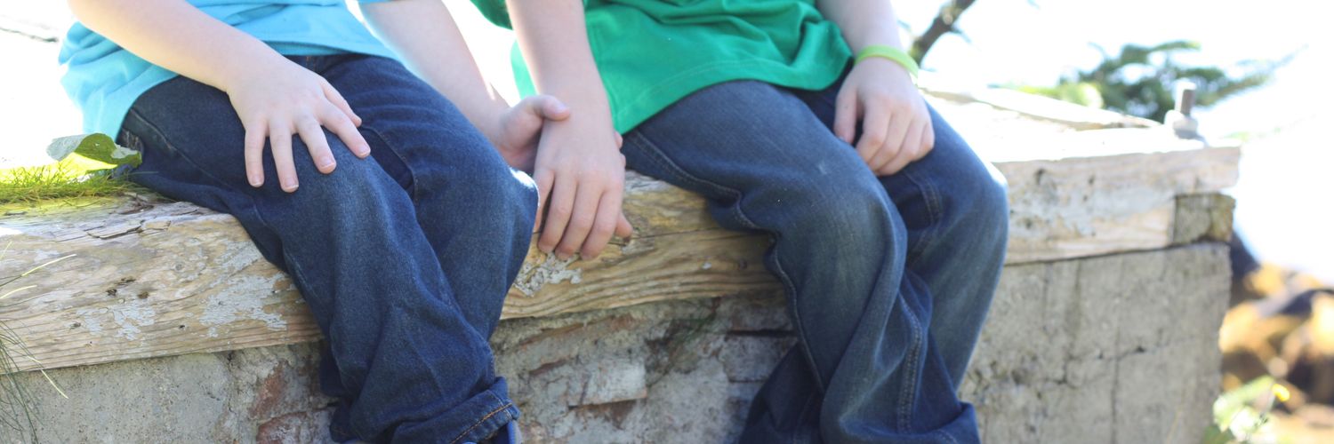 TerriRyan8's profile banner image