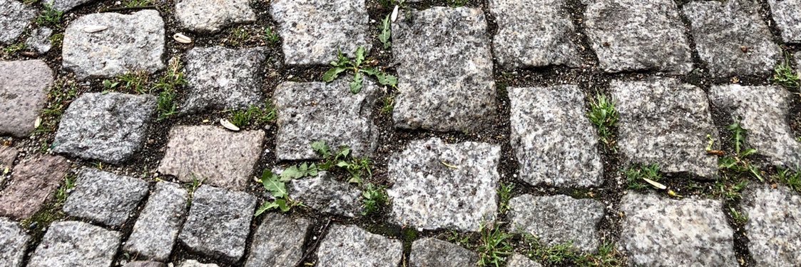 Lithium Flower #нетвойне banner