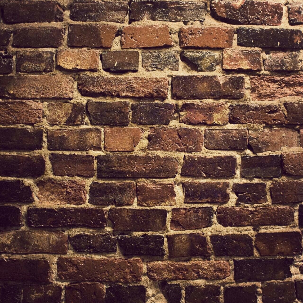 firudanny's profile banner image