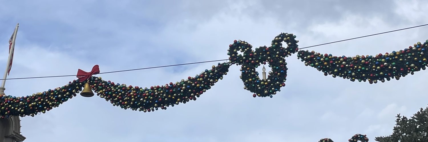 lexanelagrange's profile banner image