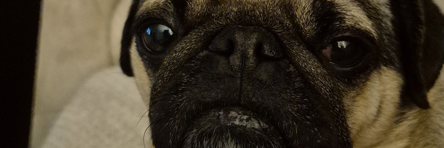theroy15's profile banner image