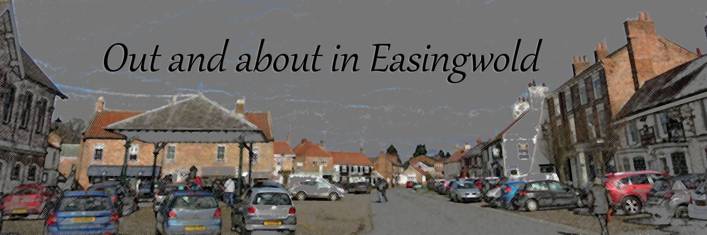 Easingwold View banner