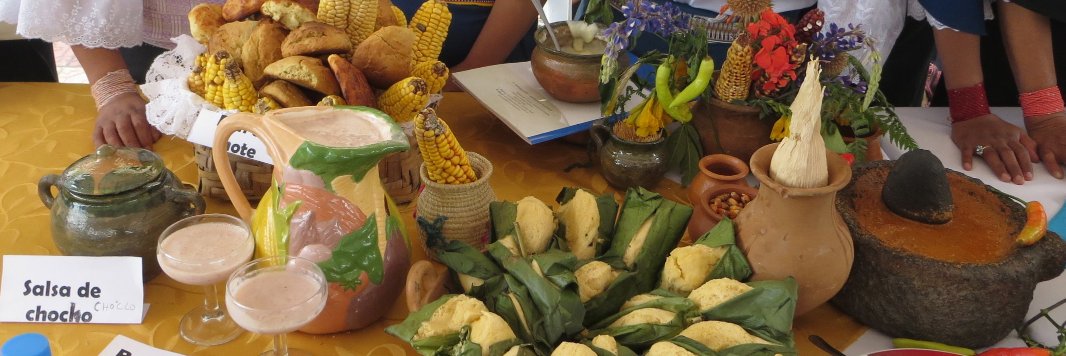 ¡QUE RICO ES! banner