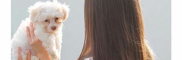 2khiart's profile banner image