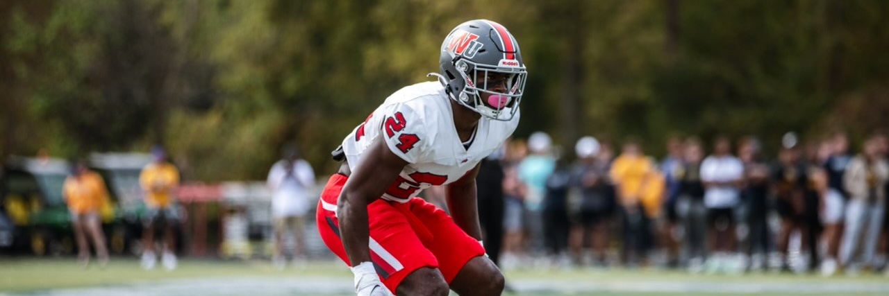 Neil Campbell banner