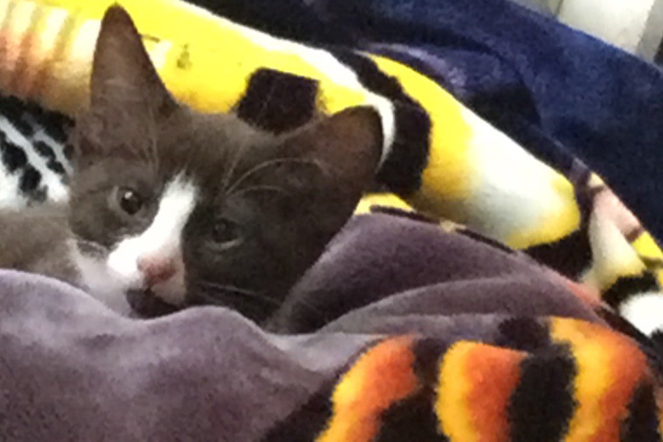 Megsseliz's profile banner image