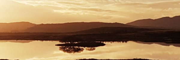 fredpn8 Profile Banner