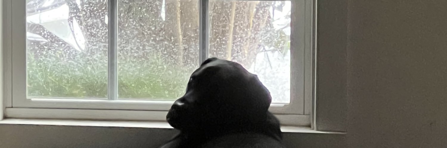 BlackX650 W 🏁 banner