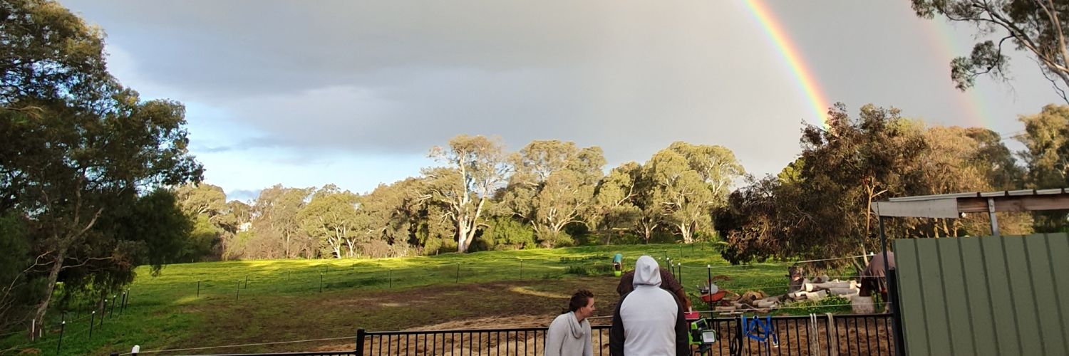 Grumpy Sean Howie 🇦🇺🇮🇱 banner