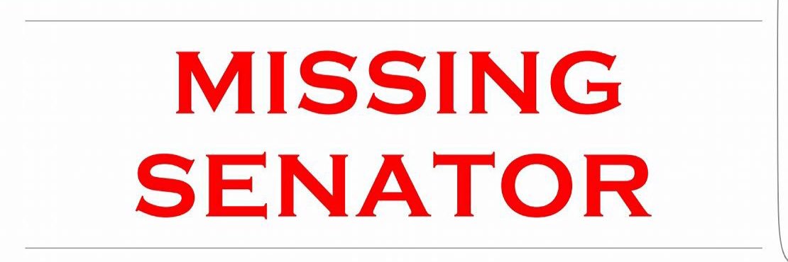 whereiscruz's profile banner image